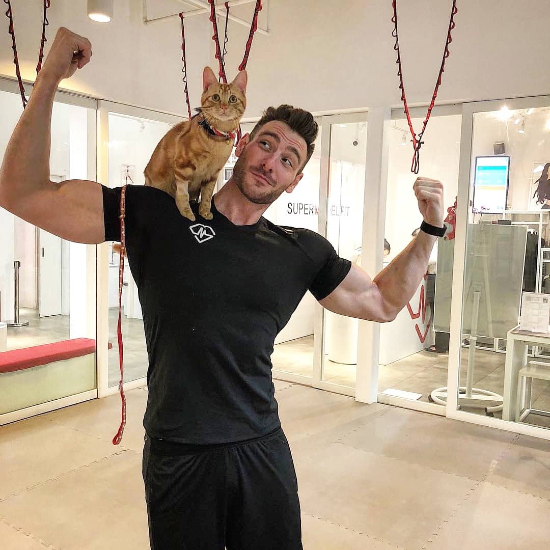 KeepTrainer's tweet photo. We train to be strong, fast and powerful. So we can protect the ones we love.💑 Of course, protect our kitty!😺 Why do you workout? Share your reason with us! #KeepTrainer #TGIF #FridayFeeling https://t.co/Owy2pq8UHQ
