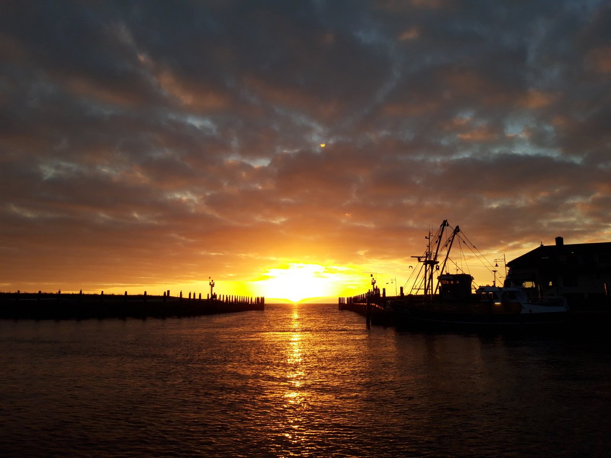 tx_35's tweet image. Daar is ie weer!