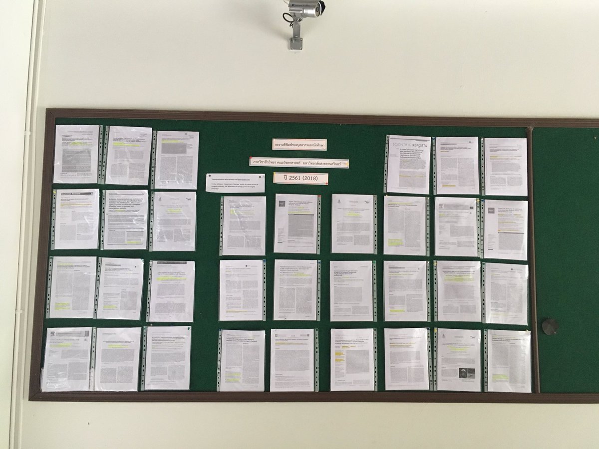 PSUBiology's tweet photo. Our productivity so far 2018 #research #scopus #webofscience https://t.co/a6lxwpH0sx
