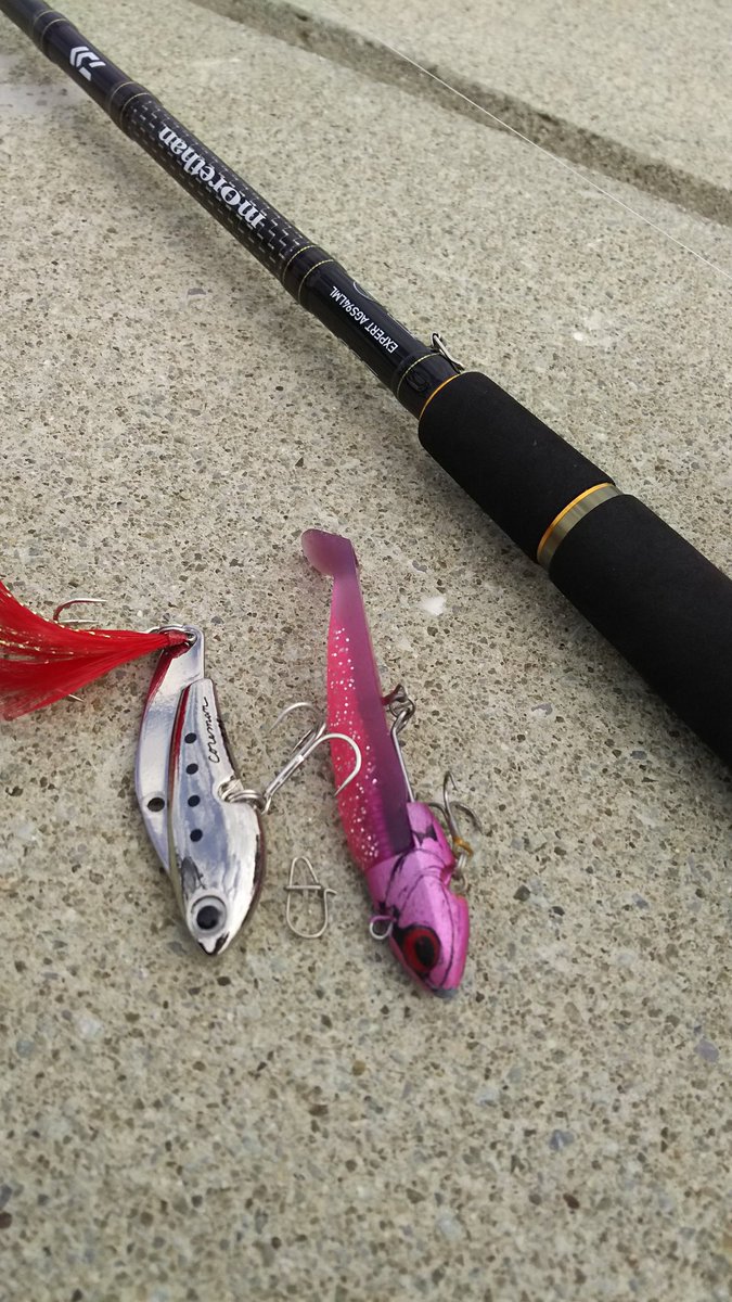MacoLOG's tweet photo. ���局、秋晴れに誘われ、お迎え前の1時間だけロッドを担いでサイクリングへ行ってきました！

まぁ、干潮潮止まりなんで予想してましたが、水位の無い事…(^_^;)

案の定、反応は得られ無かったものの楽しめました！

※チャリ釣行、今回はタモとロッドをセットにしましたが、ポジション考えないと…。 https://t.co/wmMJMJcxEL