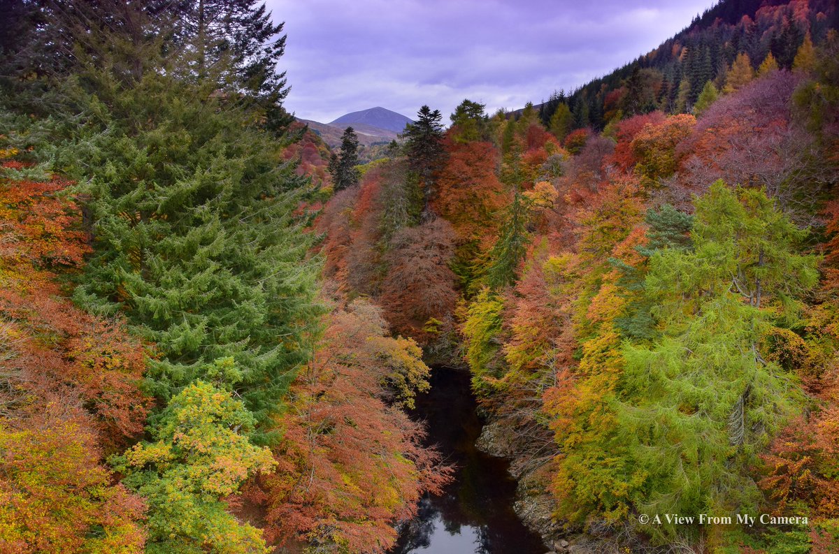 ViewFromCamera's tweet photo. Stunning #autumn colours at #GarryBridge #Killiecrankie #Pitlochry #CarnLiath #Perthshire #Scotland #autumnwatch @BBCSpringwatch @tripplannermama @steamingboots https://t.co/a8z1v8VTvU