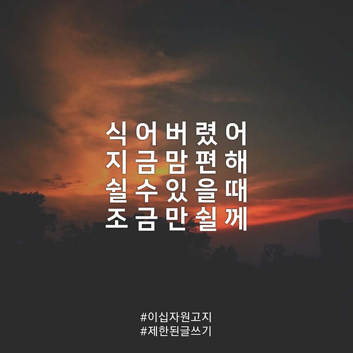 두 근 대 지 않 아

#이십자원고지 
#제한된글쓰기