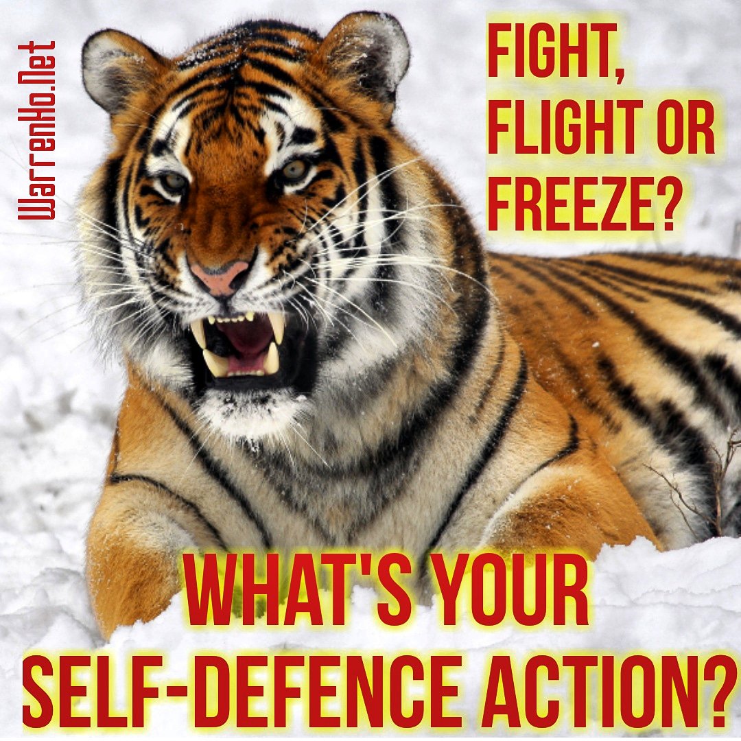 WarrenhoN's tweet image. Different situatons call for different actions which MUST be dictated by the answers to the question, "What are you willing to fight, die and kill for".Get familiar with all 3 actions and when you will employ them.
#selfdefense #warrenhodotnet #warrenho #safety #personalsafety