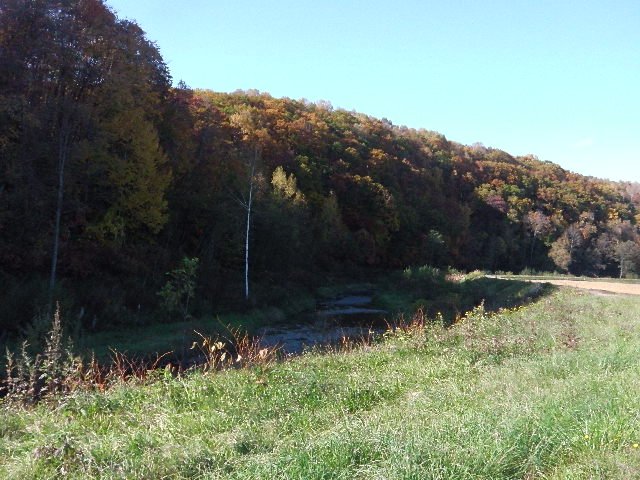 突哨山 突哨山