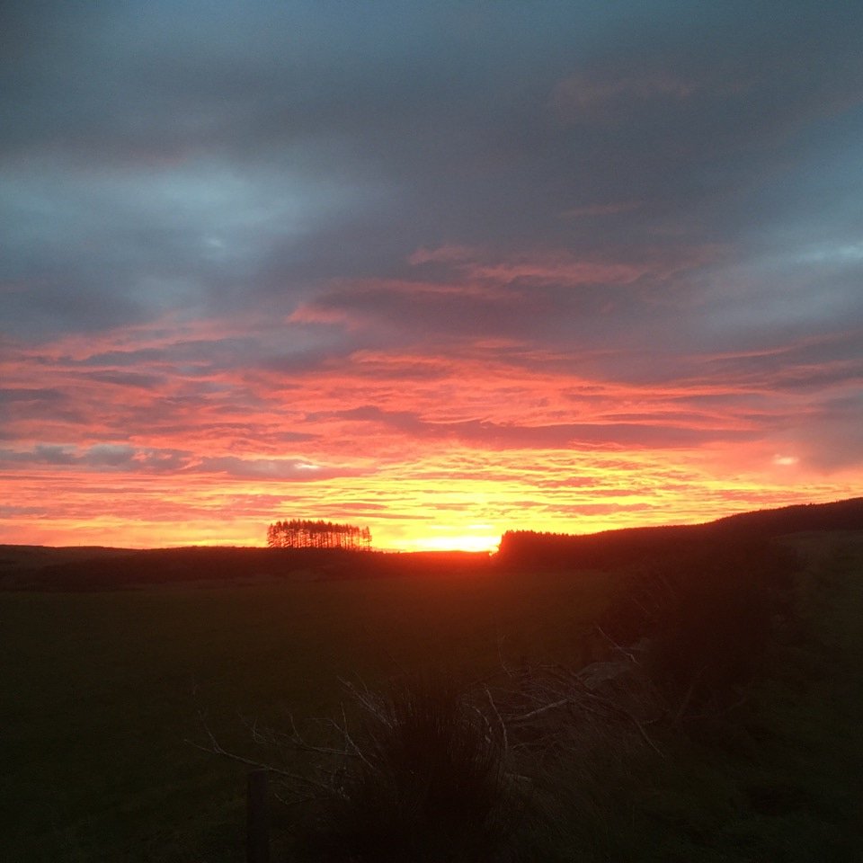 SIPs_Scotland's tweet photo. Stunning sunrise this morming from our site at Dunning 

#sunrise #perthshire #scotland https://t.co/5i4tezeDLp