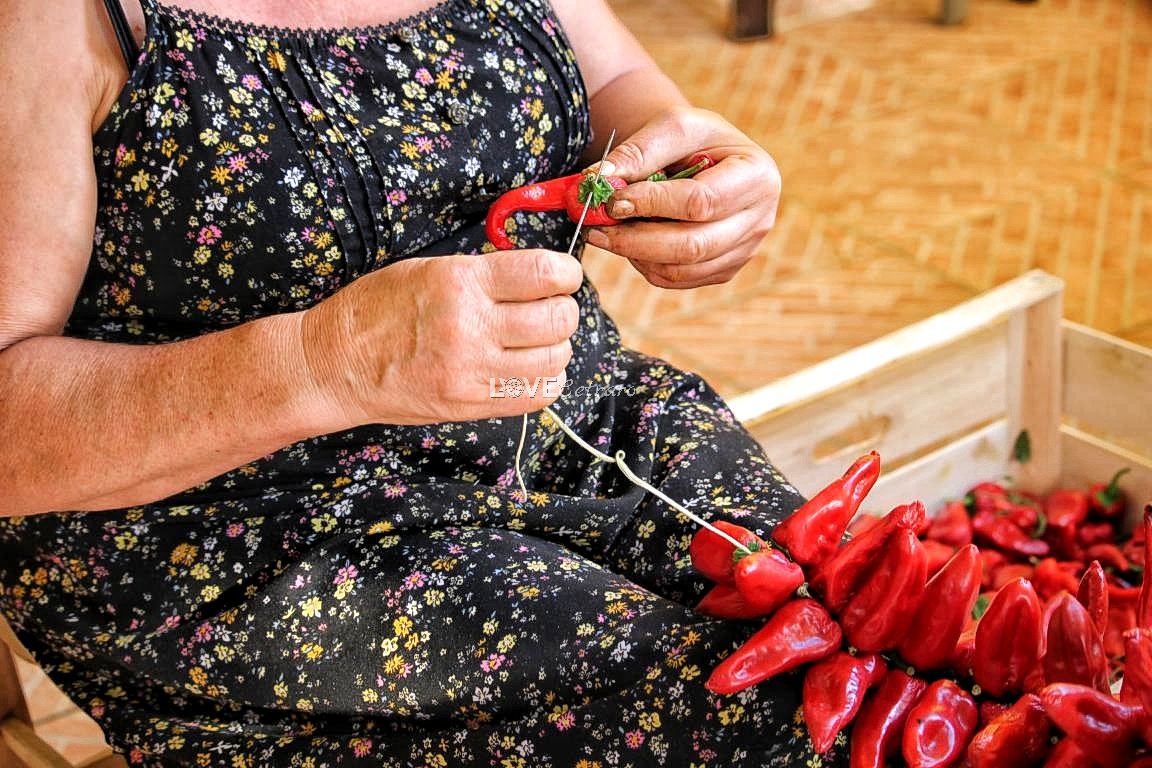 ioelacalabria's tweet image. 🌶#Calabria è: bellissime ghirlande rosse che adornano le case. Ma cosa c'è dietro? Vi porto a casa mia a #Cetraro e andiamo a trovare zia Maria per farvi vedere quanta pazienza e lavoro ci vuole. Venite?
👉 bit.ly/vajanelli
#19ottobre #food #italia #italy #sud