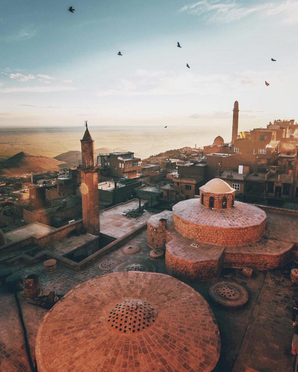 Allah'ın rahmeti ve şefaati üzerinizden eksik olmasın. 
Dualarımız kabul, 
Cumamız Mübarek Olsun...
#HayırlıCumalar