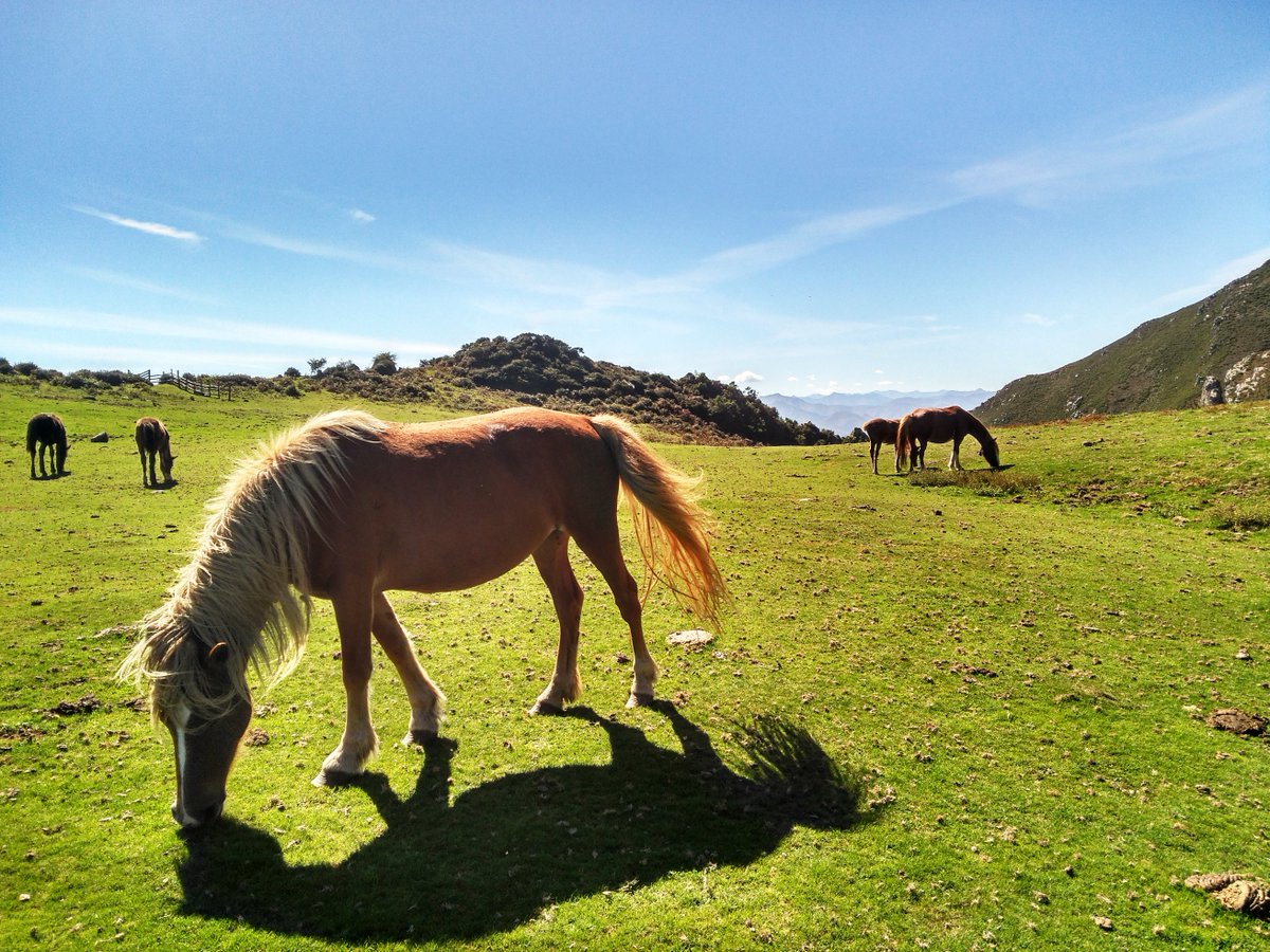#FelizFinde desde la Sierra del Sueve.
#Asturias #Montaña
