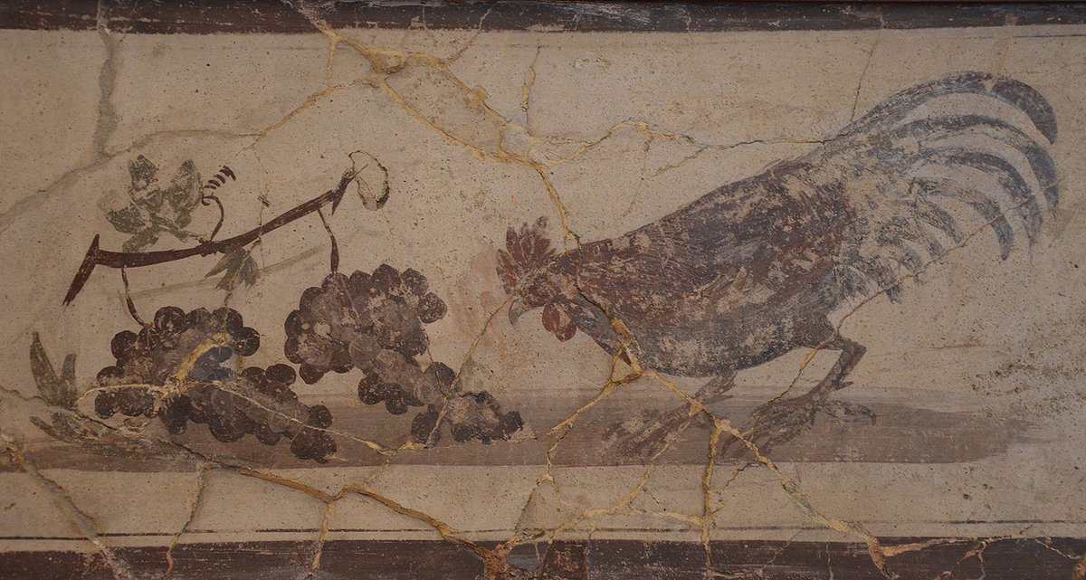 In October, Pompeii was only a sleepy, small town in the middle of the grape & tree crop harvest and grain sowing and plowing. Pompeii’s significance for our understanding of ancient Roman daily life and economy needs to be contextualized by the month of the eruption/22