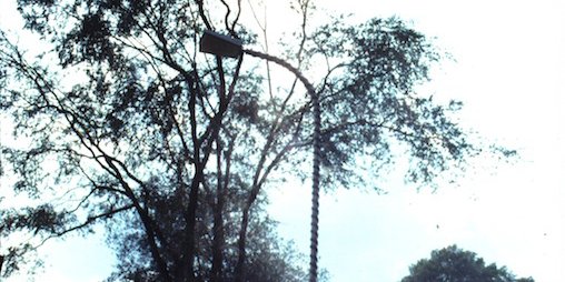 lachowski's tweet image. Sculptor Richard Hunt will be speaking at the museum today for a new show of his art. He judged the 2nd Sculpture Exhibition at Lyndon House in 1978, put me &amp;amp; Randy in it. That had a huge influence on us &amp;gt; Pylon!
bit.ly/richard-hunt-s…