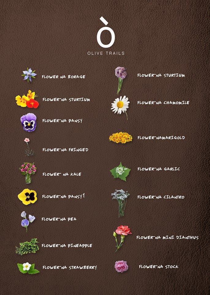 OliveTrails's tweet photo. Love using edible flowers in your cakes and desserts? Here's a handy list you can download and keep! #CulinaryAdventures
.
.
.
#OliveTrails #CuisinesFromAroundTheWorld #WeeklyChangingMenu #FreshestIngredients #ChefCrafted #InternationalDelicacies https://t.co/VDfbxlCkwG