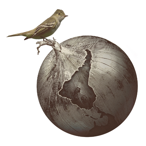 ¡Torifícate! una introducción al fascinante mundo de #Tor y sus aplicaciones buff.ly/2q1hwaF