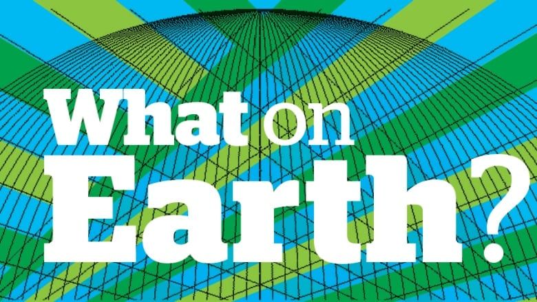 lunchboxgreen's tweet photo. Check out and sign up for this new weekly newsletter from @CBC #WhatonEarth #climatechange https://t.co/yKvssYVxgw https://t.co/Rqn8DbH7YH