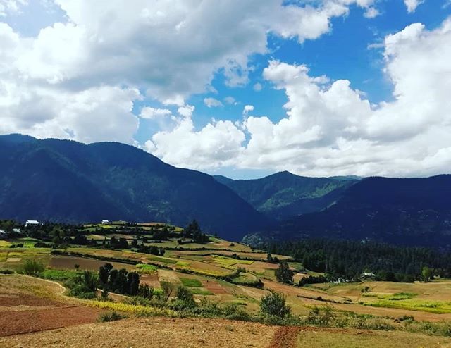 pathakvivaswan's tweet photo. I always wonder , is there any hill range which isn't beautiful.. I haven't seen a contrary example.
#perfect #perfectpicture #bwpics #naturecolors #everydayindia #landscapephotography #coloursofindia #travel #travellife #adventure #ig_color #naturegram… https://t.co/FLzCEaSht7 https://t.co/RAaAzYLh9b