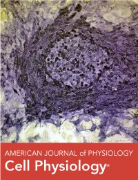 APSPhysiology's tweet image. Study finds rapid decompression after #ScubaDiving affects mitochondrial function and gives first insights on how mitochondria could be targeted to relieve #DecompressionSickness: ow.ly/6XwR30m4mOK via @AJPCellPhys  #APSselect