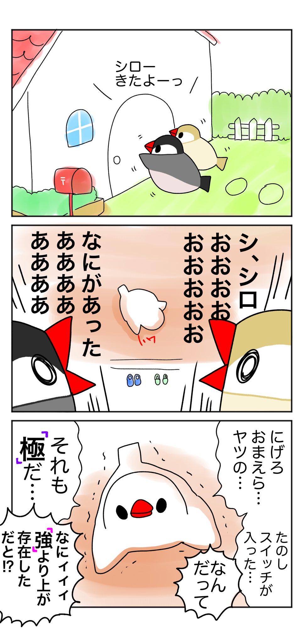 Yaya בטוויטר なりゆきレクチャー セキセイインコ 漫画 小鳥