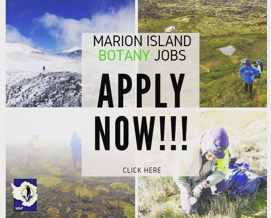 Antarcticlegacy's tweet photo. Botanical Related Positions available on Marion Island. #Botany #JOBS #MarionIsland #ecology #ecophysiology #windpatterns #modelling #engineer #plantecologist #plantecophysiology #islandjobs @apecssa https://t.co/hngpCwT3S1