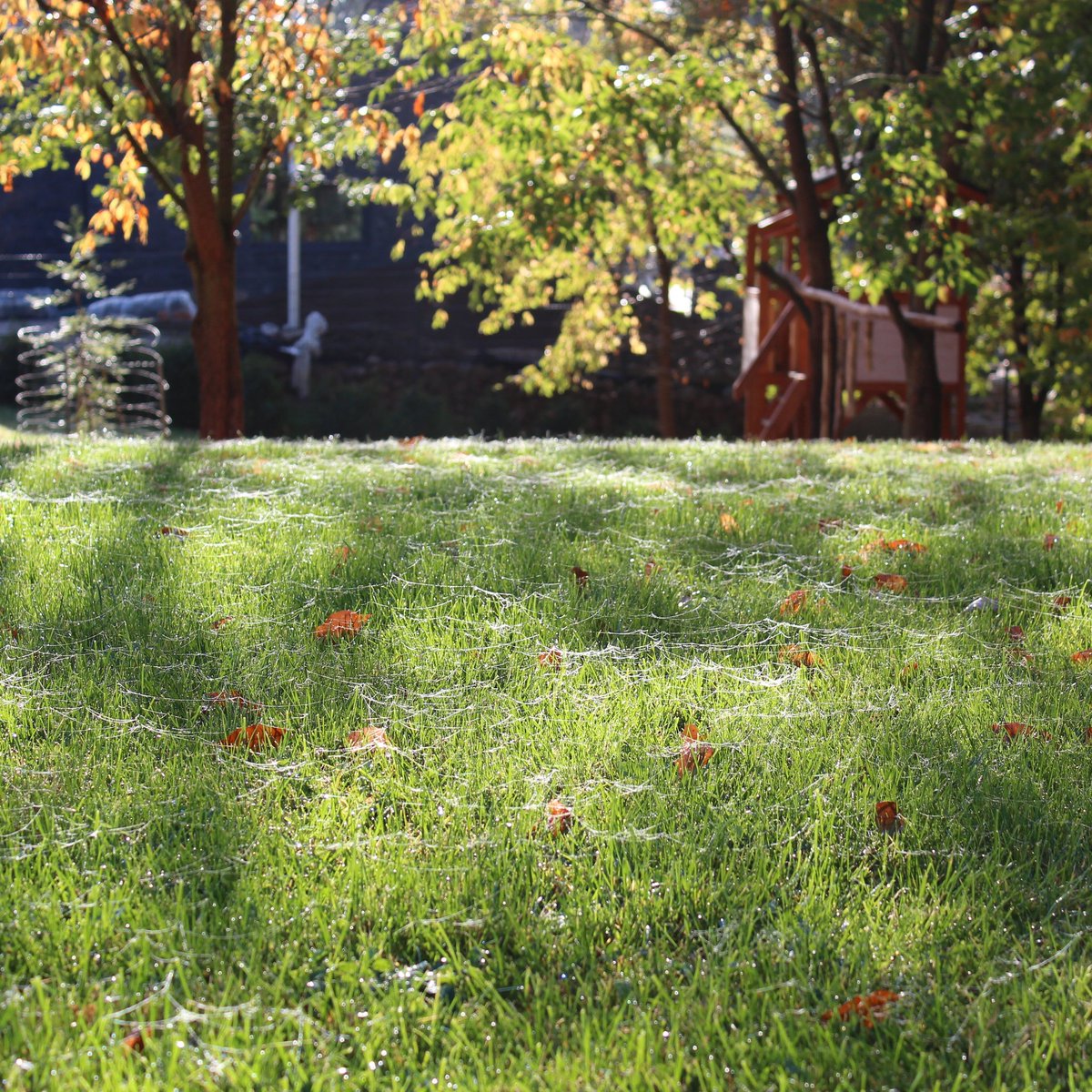 #nature #nofilter #SchleswigHolstein