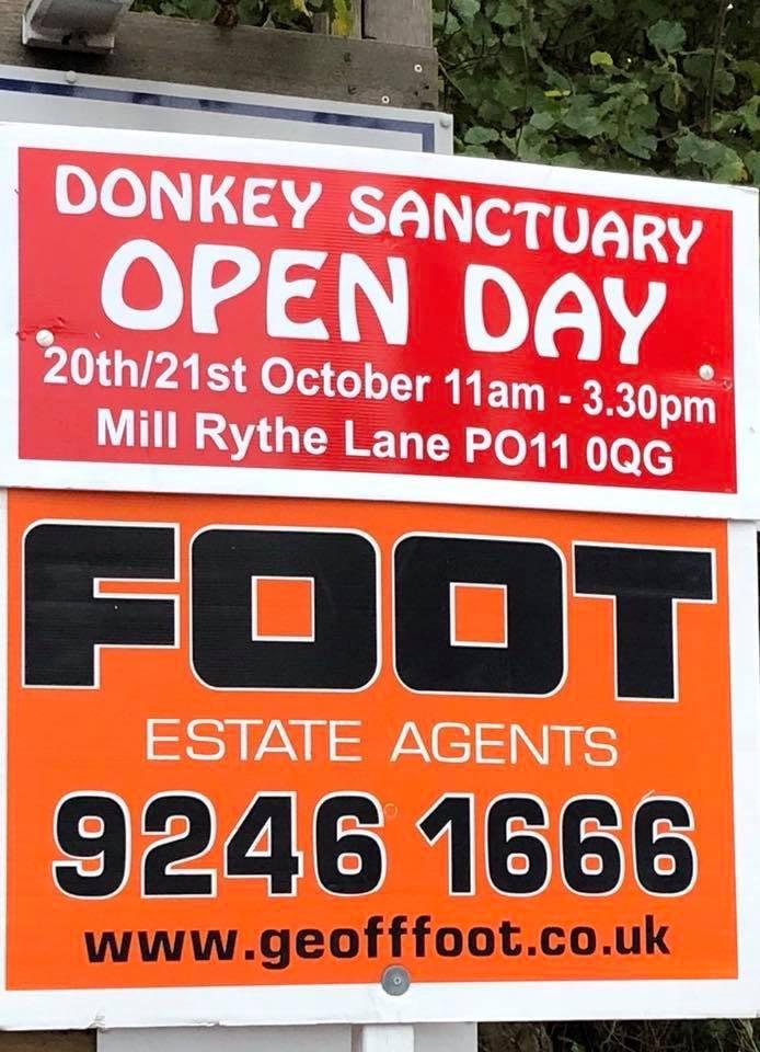 Geoff_Foots's tweet photo. Its our [pleasure to support The Hayling Island Donkey Sanctuary in their OPEN DAY this Saturday &amp; Sunday! 11am until 3pm...@ Mill Rythe Lane, PO11 0QG. Please go and see the cutest 4 legged furry friends :) https://t.co/uPIb0ut1le