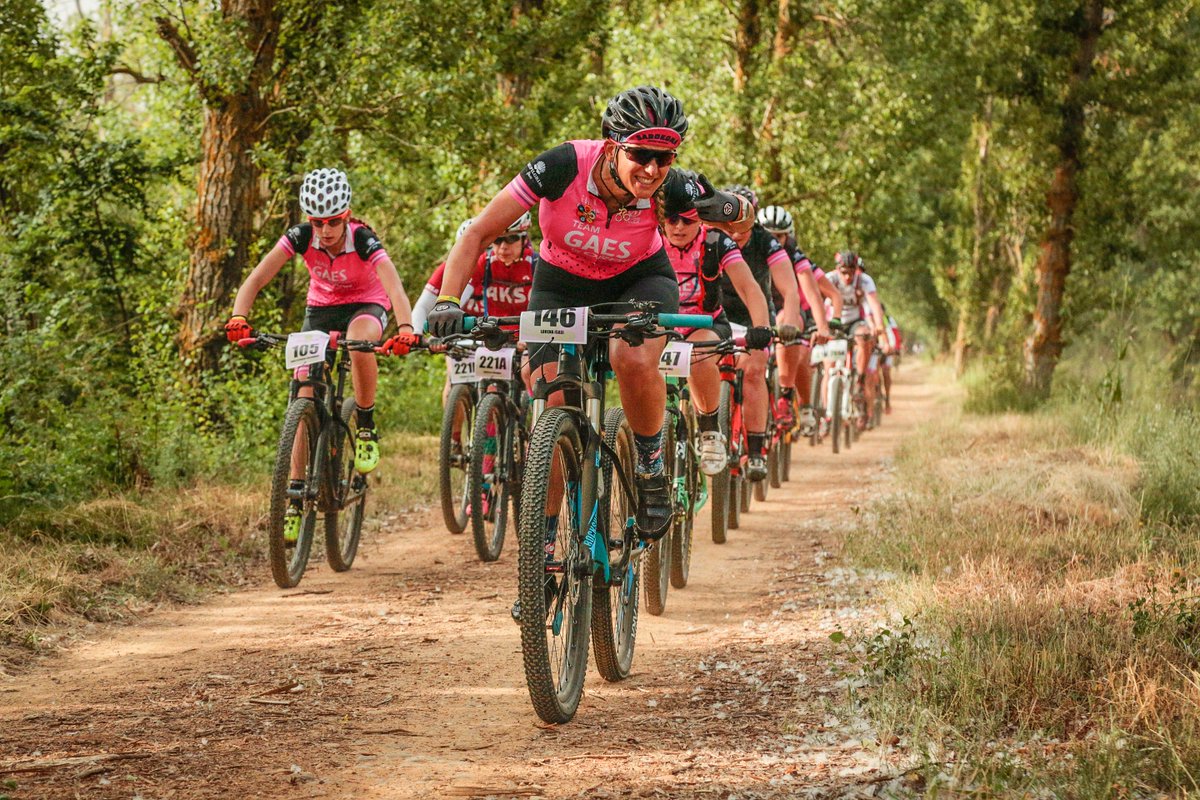 Pilgrim Race by TressisALAPAR tweet media