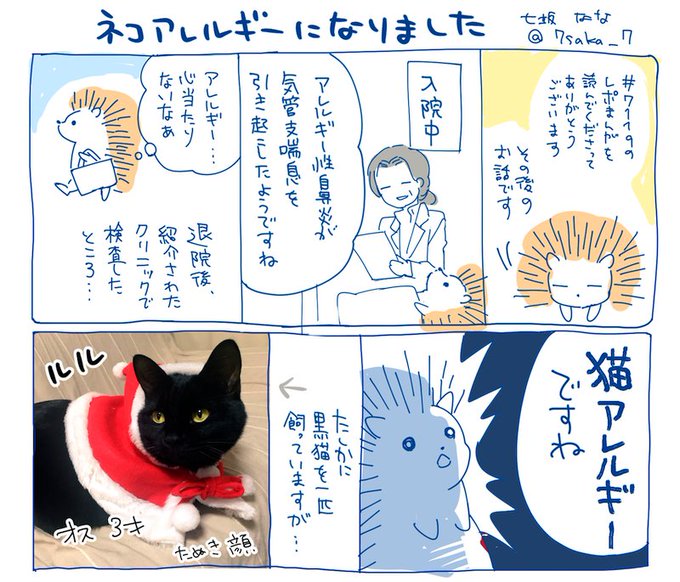 【レポ続き】退院後、猫アレルギーと診断されたことをマンガにしました（個人の体験談です） 