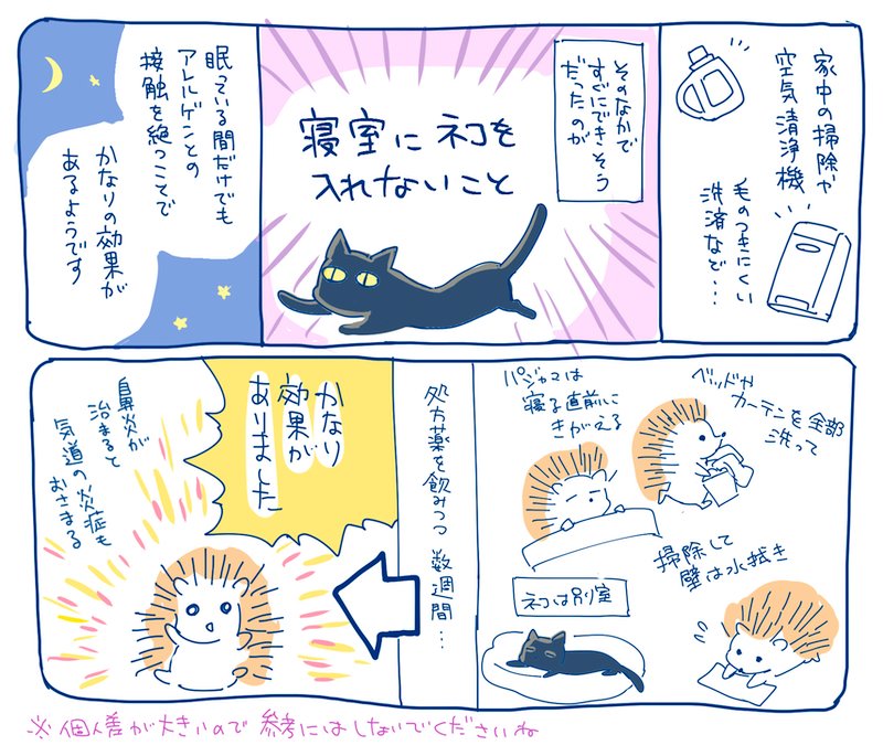【レポ続き】退院後、猫アレルギーと診断されたことをマンガにしました（個人の体験談です） 