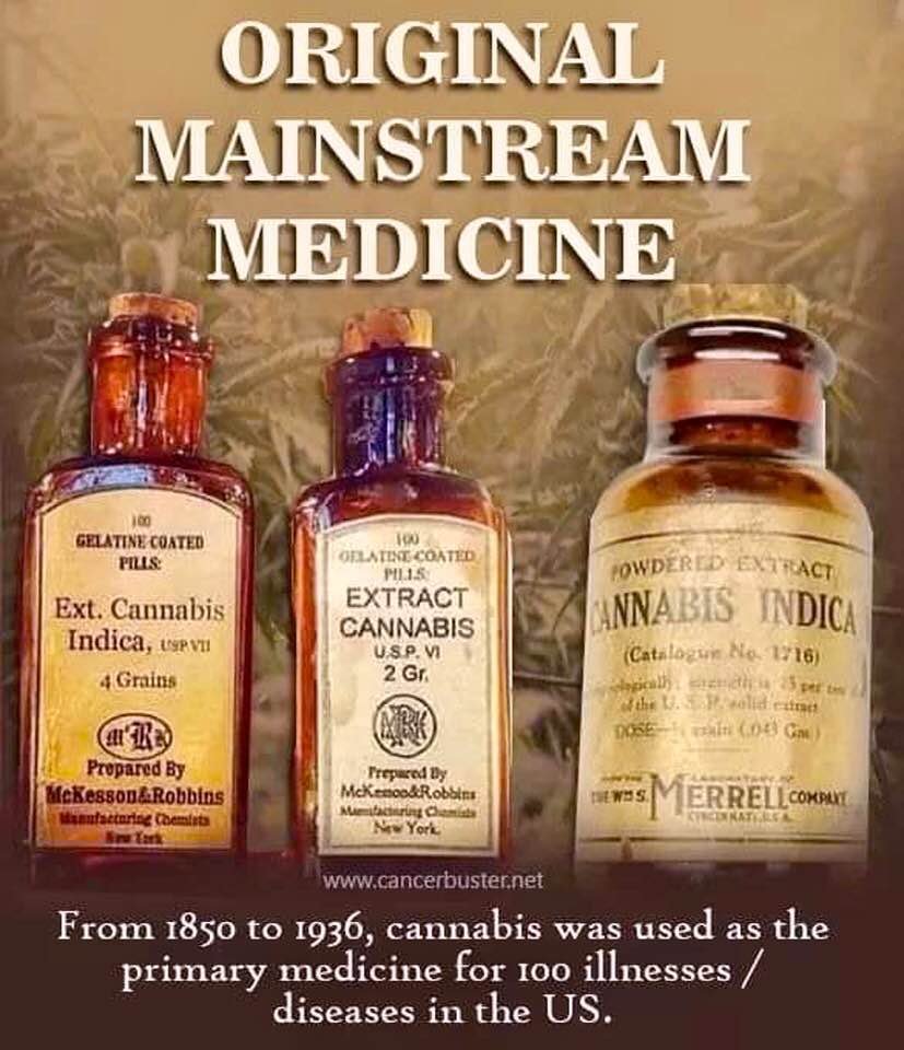 cannaworldsite's tweet image. 