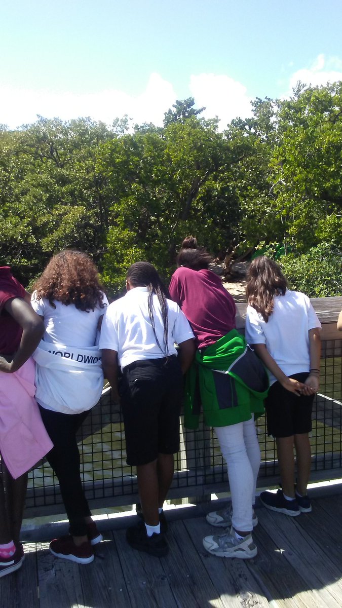Cara Davis-Henry (@cdavisgr5) on Twitter photo Students enjoyed exploring the MacBeach Estuary. We caught a rather large seahorse and got to see a shark and stingray and other wildlife <a href="/JeagaMiddle/">Jeaga Middle School</a> @Macarthurbeach Students enjoyed exploring the MacBeach Estuary. We caught a rather large seahorse and got to see a shark and stingray and other wildlife <a href="/JeagaMiddle/">Jeaga Middle School</a> @Macarthurbeach