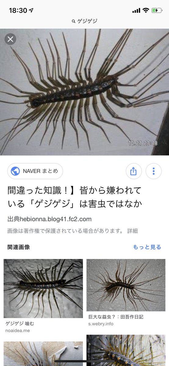 瑠志 Ryuuujl Twitter