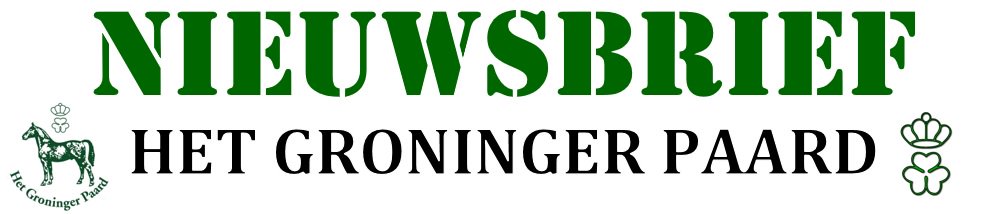GroningerPaard's tweet photo. 🍀🍀🍀 Nieuwsbrief herfst 2018 🍀🍀🍀 - https://t.co/KMNeQumHh2 https://t.co/z41UGEktPG