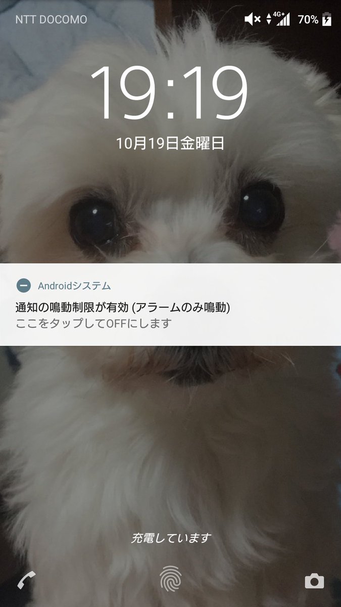 81 Bf 93 81 81 Ae E5 Be 85 81 A1 E5 8f 97 81 91 9b A0 E7 94 E9 9d 81 8c 81 Bf 81 9f 81 84 Twitter Search