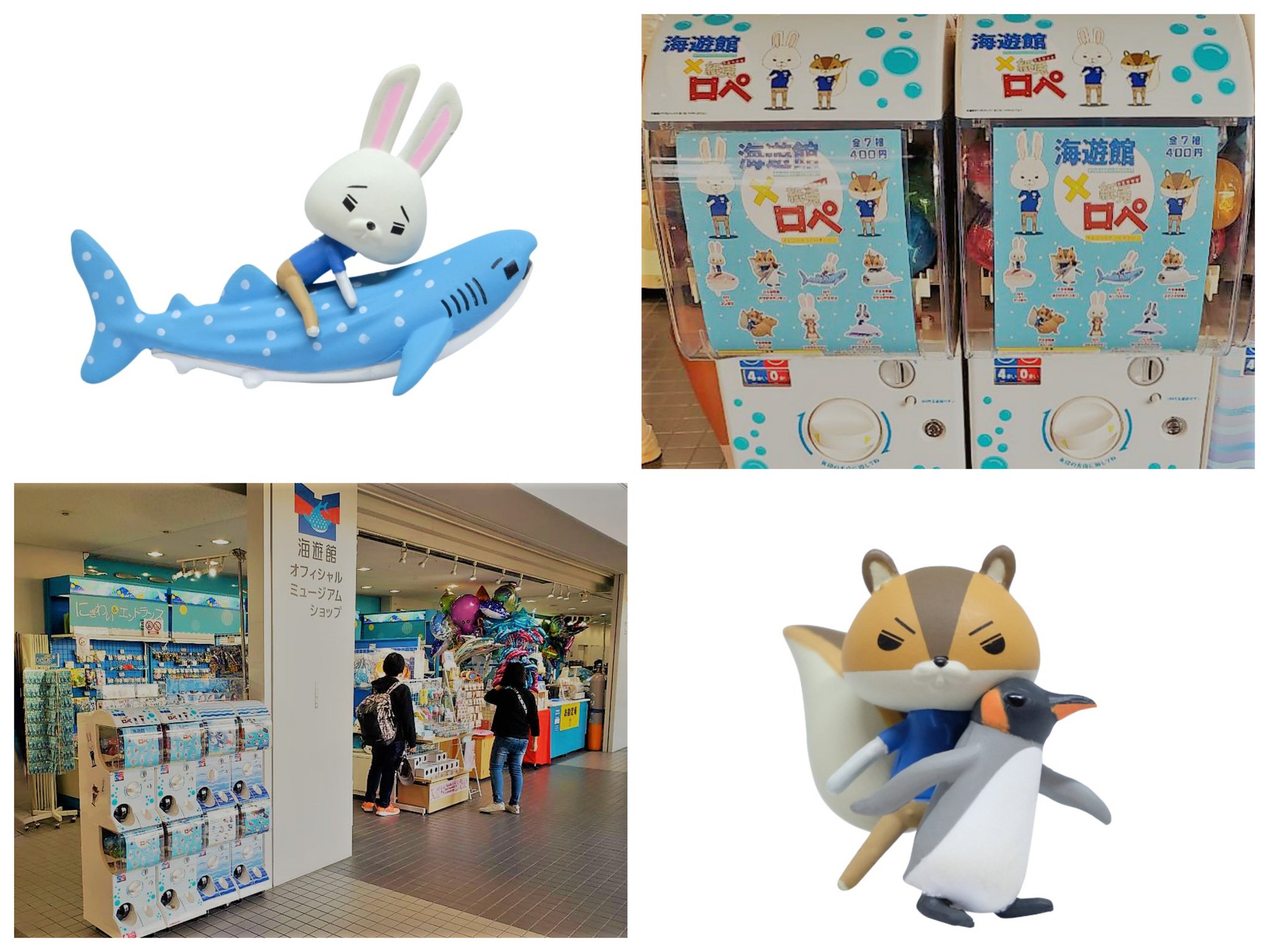 海遊館ミュージアム フルコンプ リーフレット付 🚢7月5日(土) #帆船「ブルーオーシャン みらいへ」が #兵庫ふ頭