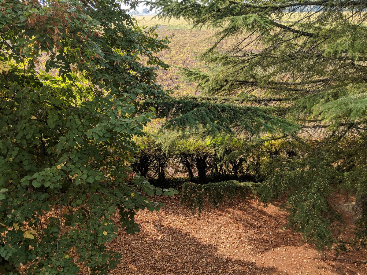 rbowen's tweet image. This is Switzerland, that&apos;s France. #centosdojo #cern #BordersAreSilly