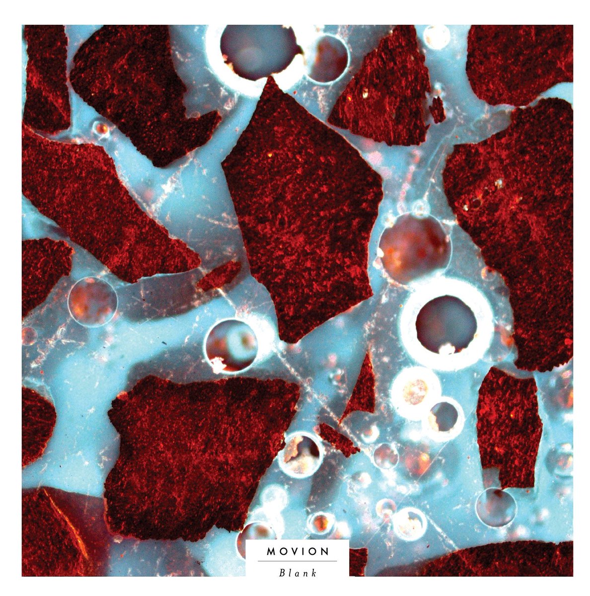 Calista Records tweet media