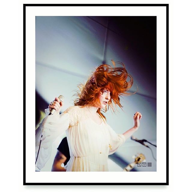 Analogue Gallery tweet media