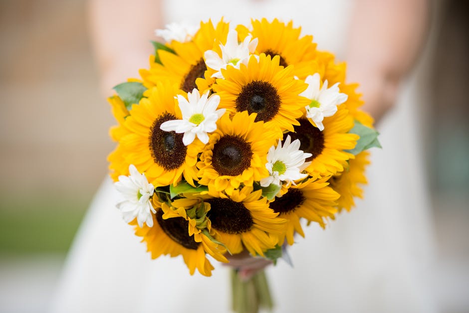 flowerglendale's tweet photo. “Flower Delivery Glendale” 
💐💐💐💐💐
Visit: https://t.co/xFdDciTDZC 

#flowerdeliveryglendale #florist #flowers #blooms #glendaleflowerdelivery #glendale #onlineflowershop https://t.co/JsAGRUfliF