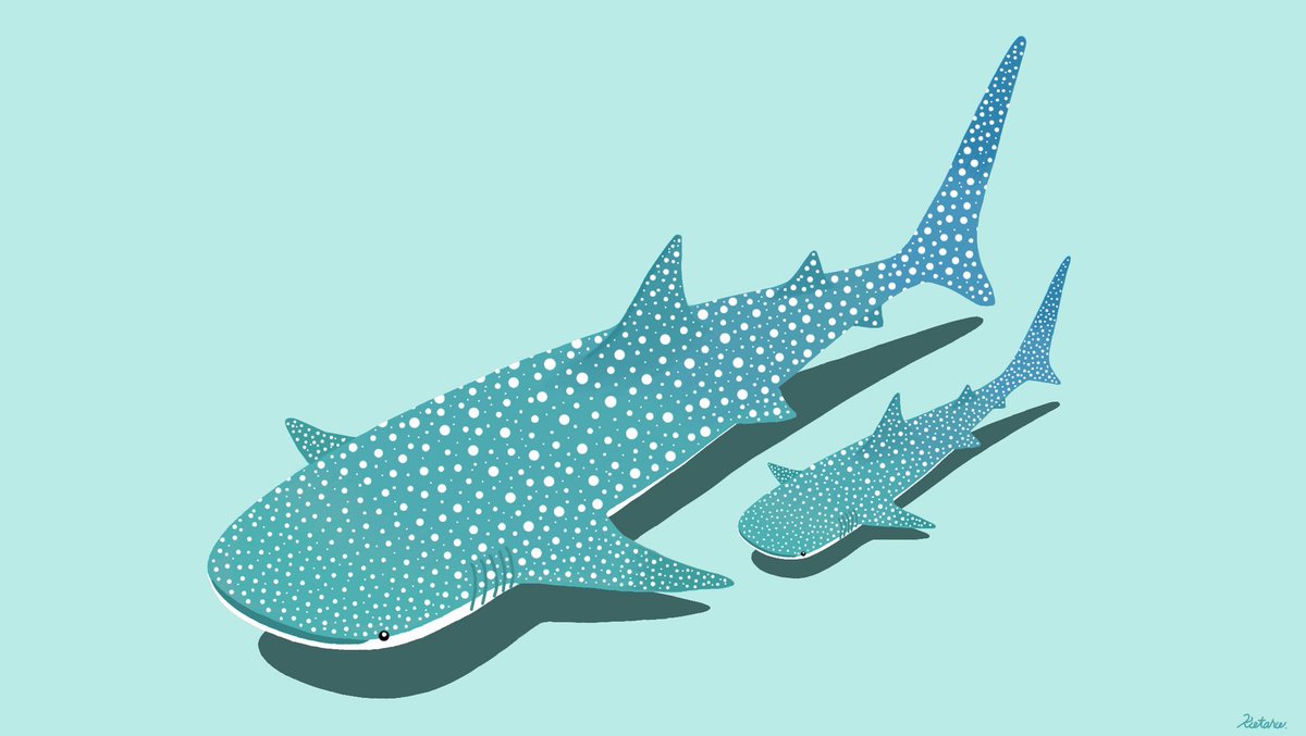 サメと古代生物の絵まとめ こたのイラスト サメと古代生物の絵まとめ こたのイラスト