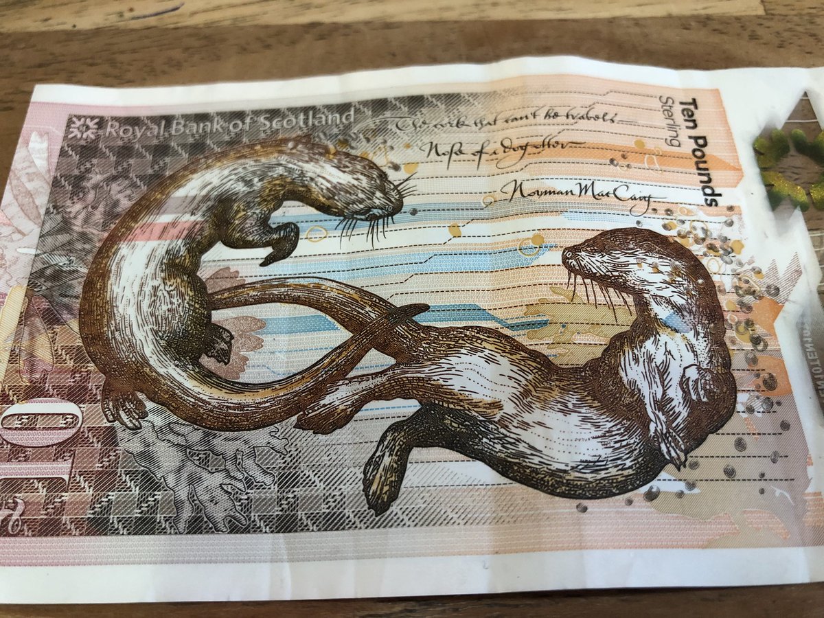 An RBS £10 note with two otters on it