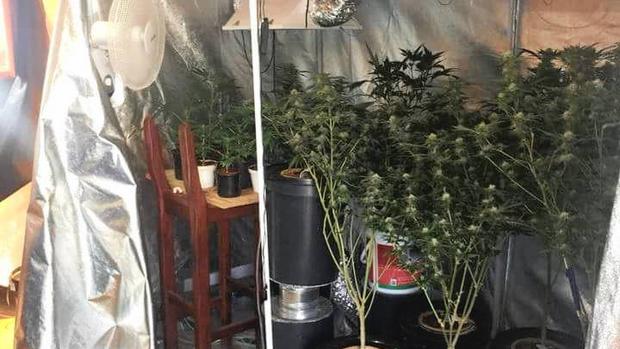 WitsJusticeProj's tweet photo. NEW: https://t.co/4LWuomUHez A JOINT CAN STILL GET YOU IN THE JOINT "The ruling doesn't mention what amount of dagga qualified as "personal use" and what amount qualified as "dealing"." WJP's @ruthhopk writes about the complicated #daggaruling https://t.co/zpbbeQt7Yd
