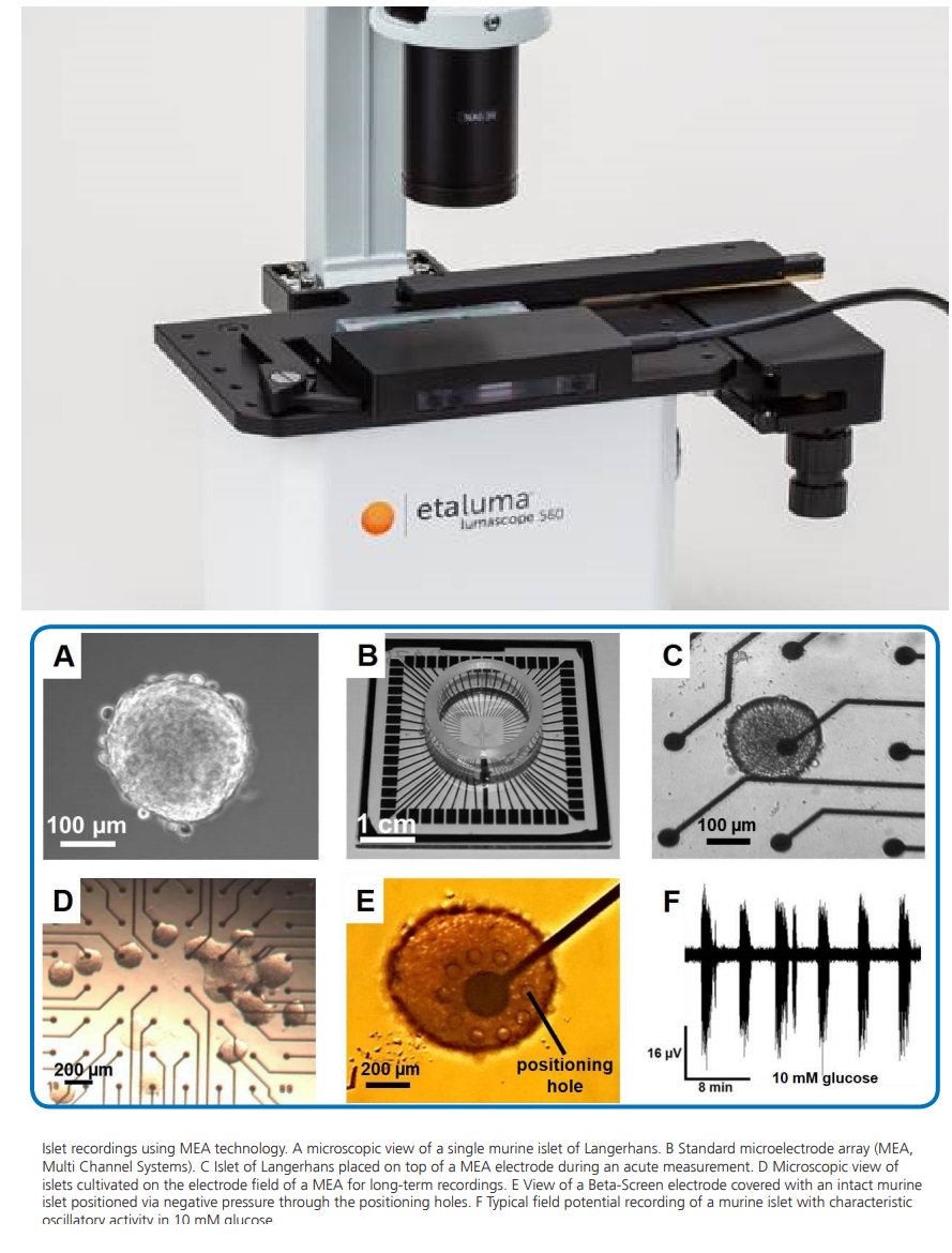 We are excited to be working with Harvard Bioscience and their Multi Channel Systems micro electrode array for beta cell screening. beta-screen.com   etaluma.com