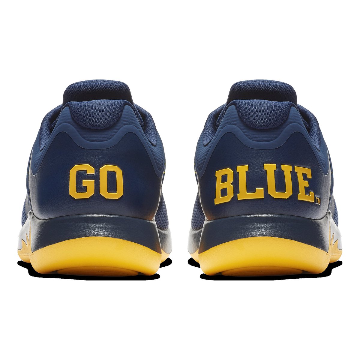 go blue jordan shoes