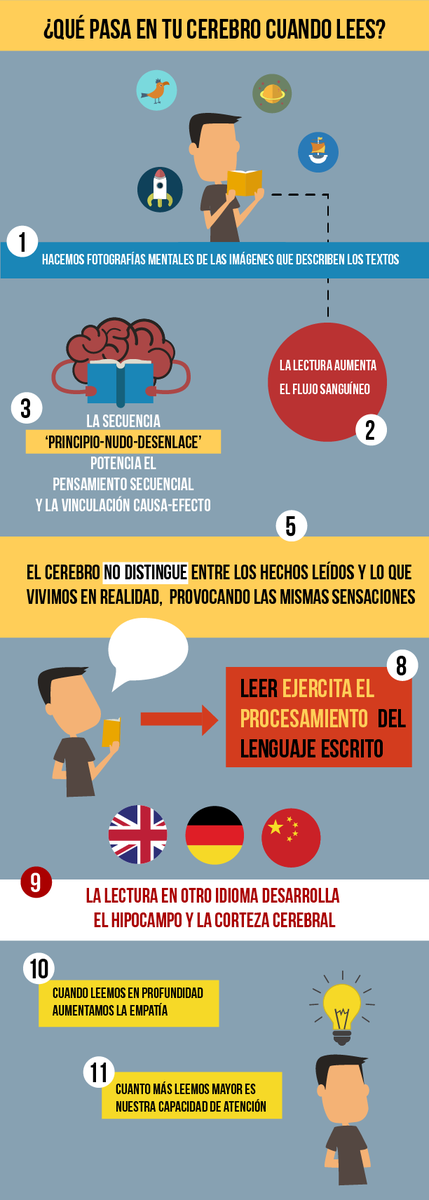 EquipodelaTorre's tweet photo. #Infografía ¿Qué pasa en el cerebro cuando lees? https://t.co/ha8TqMGLY3