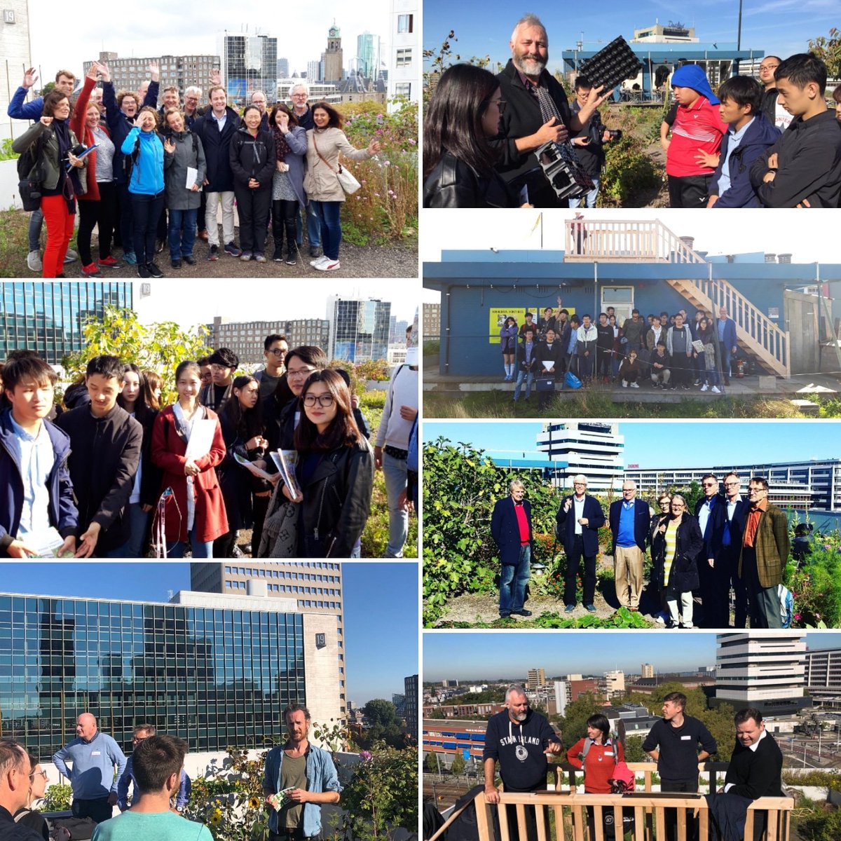 d_akkers's tweet photo. Thousands of visitors from all over the world this year and more than 100 (!) rooftopexcursions on the the #DakAkker ... #keeptellingthestory about #rooftopfarming, smartwaterstorage #greenblueroofs, #smartroofs, #urbanagriculture, rooftopbeekeeping and more ... https://t.co/d9TyFWXjhT