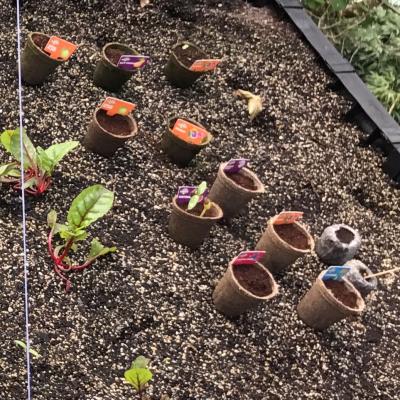 nipashah's tweet photo. #wasmerbros #Detroit #Michigan #248.496.0841 #landscape #landscapecompany #landscapearea #wasmerlandscape #landscapephotography #outdoors

https://t.co/vfVu9JTa7Y https://t.co/QNH8OcF9ZK