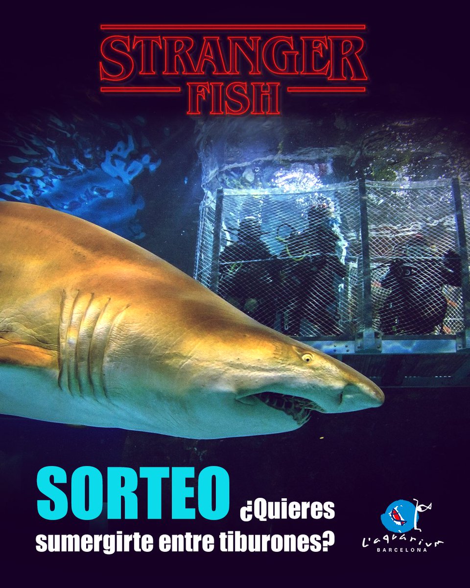 AquariumBcn's tweet photo. Tenemos un supersorteo en marcha en nuestro Instagram y el regalo es... ¡¡¡un baño con nuestros tiburones!!! No te lo pierdas 🦈🦈🦈 #strangerfish https://t.co/ufgAO0xENJ https://t.co/MFqORvH5SI