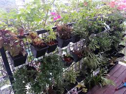 nipashah's tweet photo. #wasmerbros #Detroit #Michigan #248.496.0841 #landscape #landscapecompany #landscapearea #wasmerlandscape #landscapephotography #outdoors

https://t.co/vfVu9KaKZw https://t.co/Lynn5yXcfa
