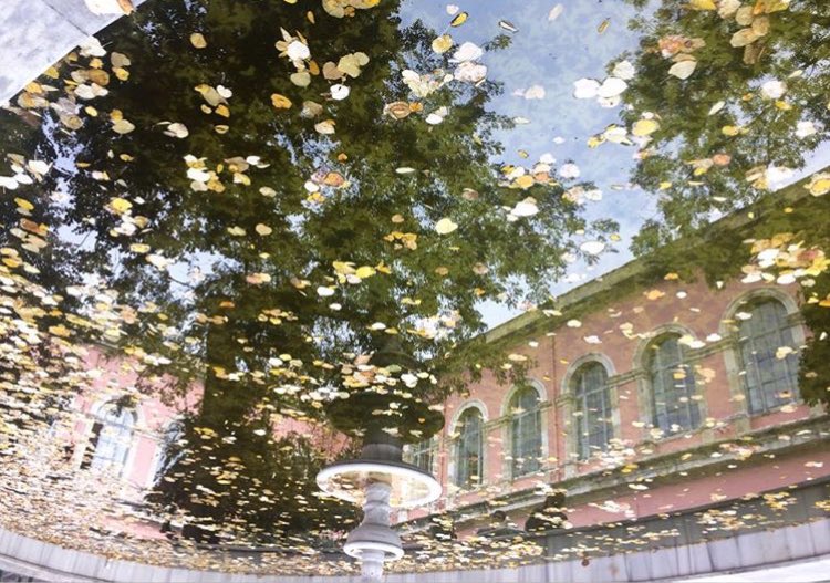 ari24sosyal's tweet photo. Feel the reflection
📷: @Ezgigmsbs https://t.co/G1aMBsUkW6