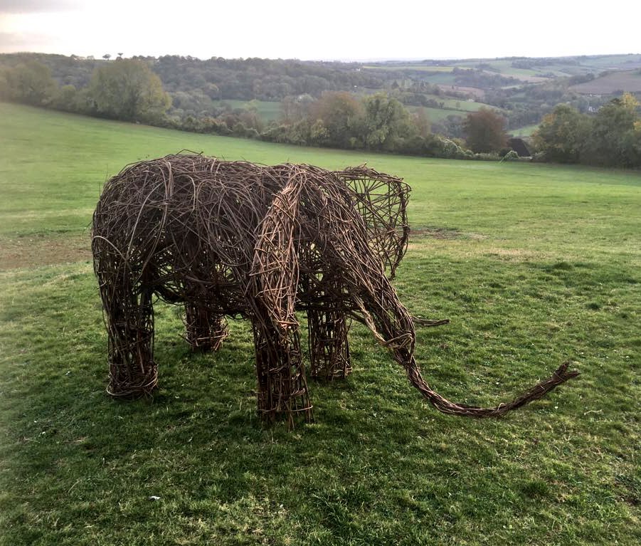 Did you manage to guess correctly? The children created this fantastic elephant in their #willowworkshop . It just needs a name so please drop your suggestions into the box in reception 🐘
