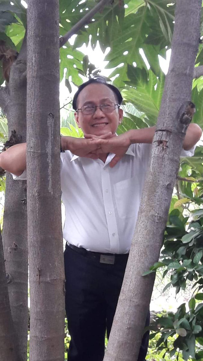 mạnh hải tweet media