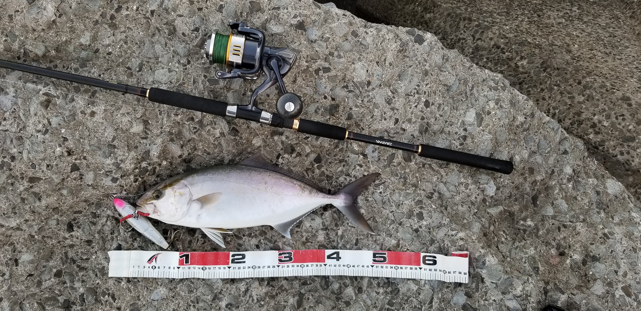 Yu Fishing Yu Twitter